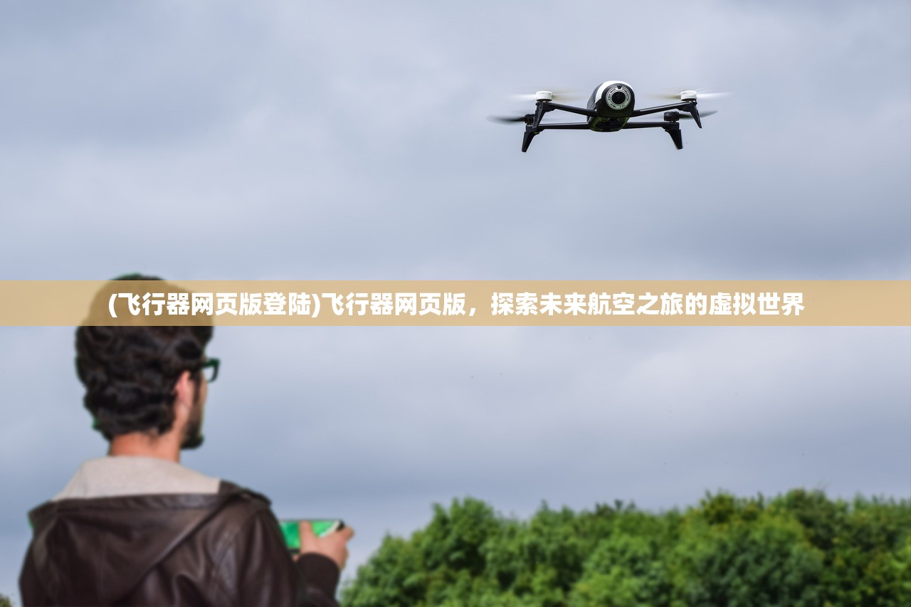 (飞行器网页版登陆)飞行器网页版，探索未来航空之旅的虚拟世界