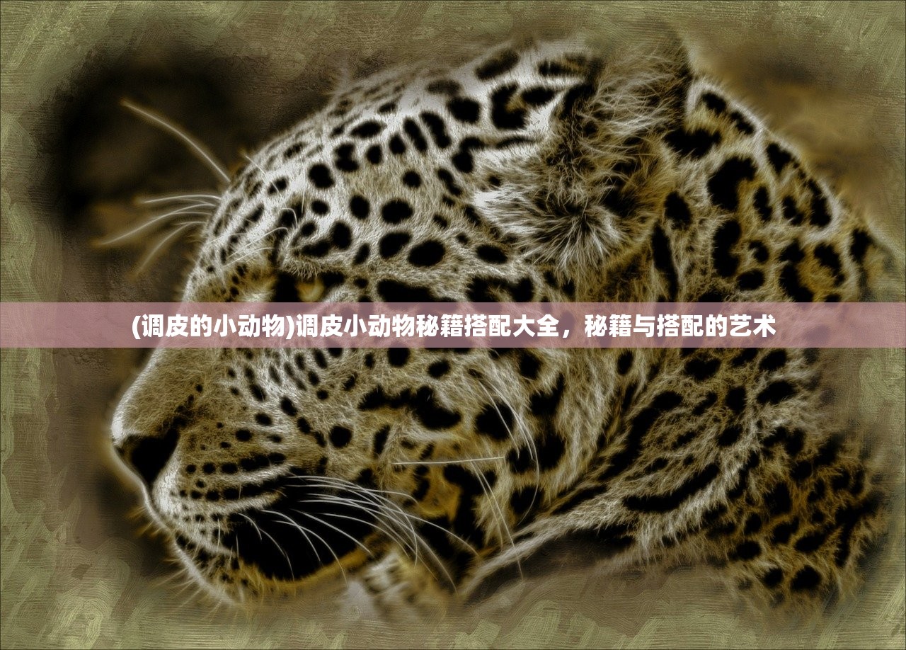(调皮的小动物)调皮小动物秘籍搭配大全，秘籍与搭配的艺术