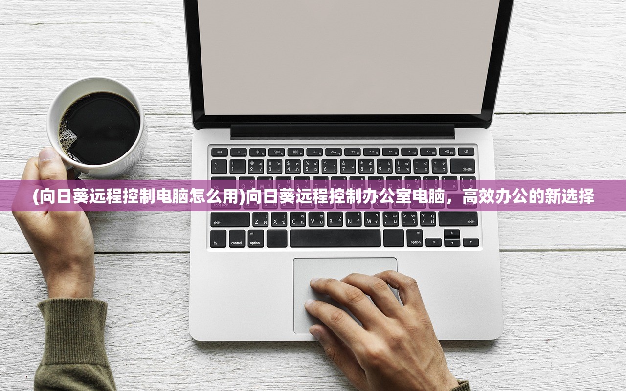 (向日葵远程控制电脑怎么用)向日葵远程控制办公室电脑，高效办公的新选择