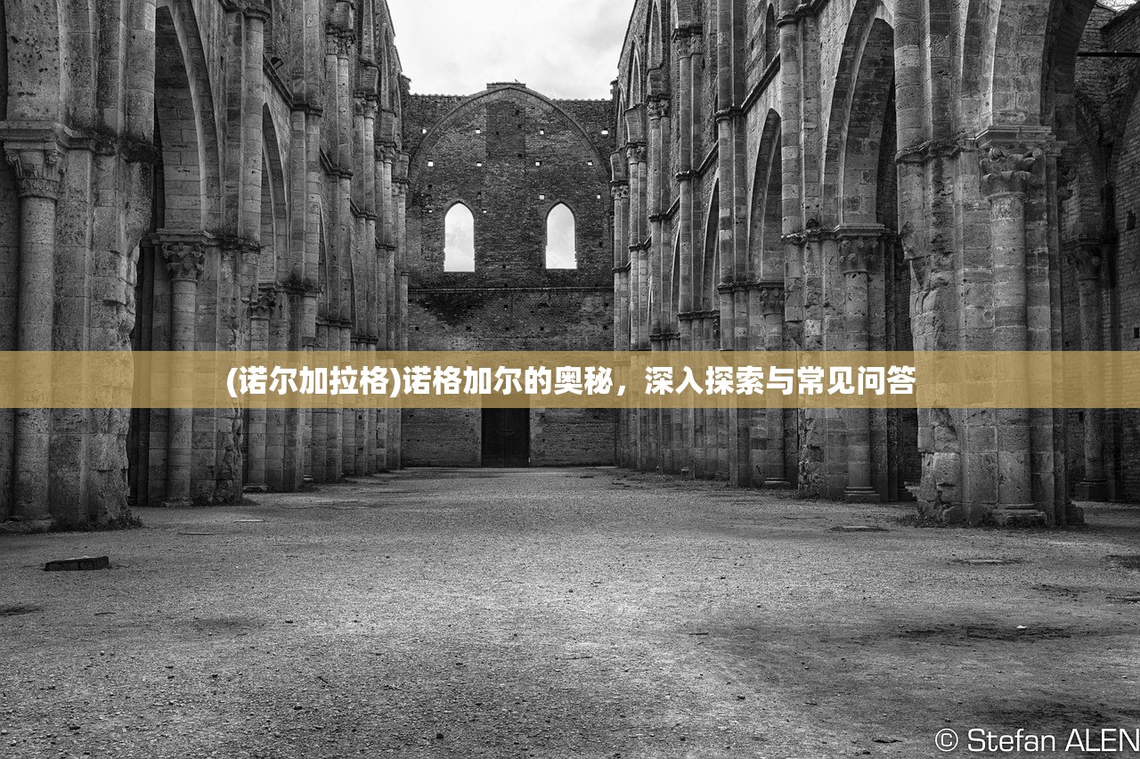 (诺尔加拉格)诺格加尔的奥秘，深入探索与常见问答