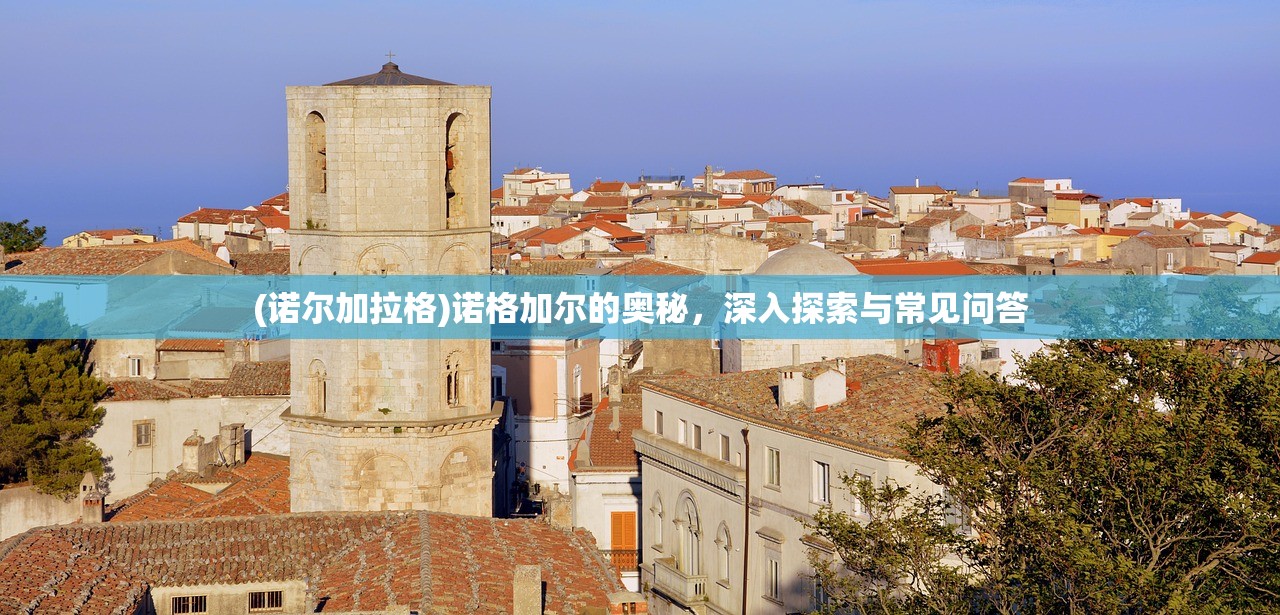 (诺尔加拉格)诺格加尔的奥秘，深入探索与常见问答