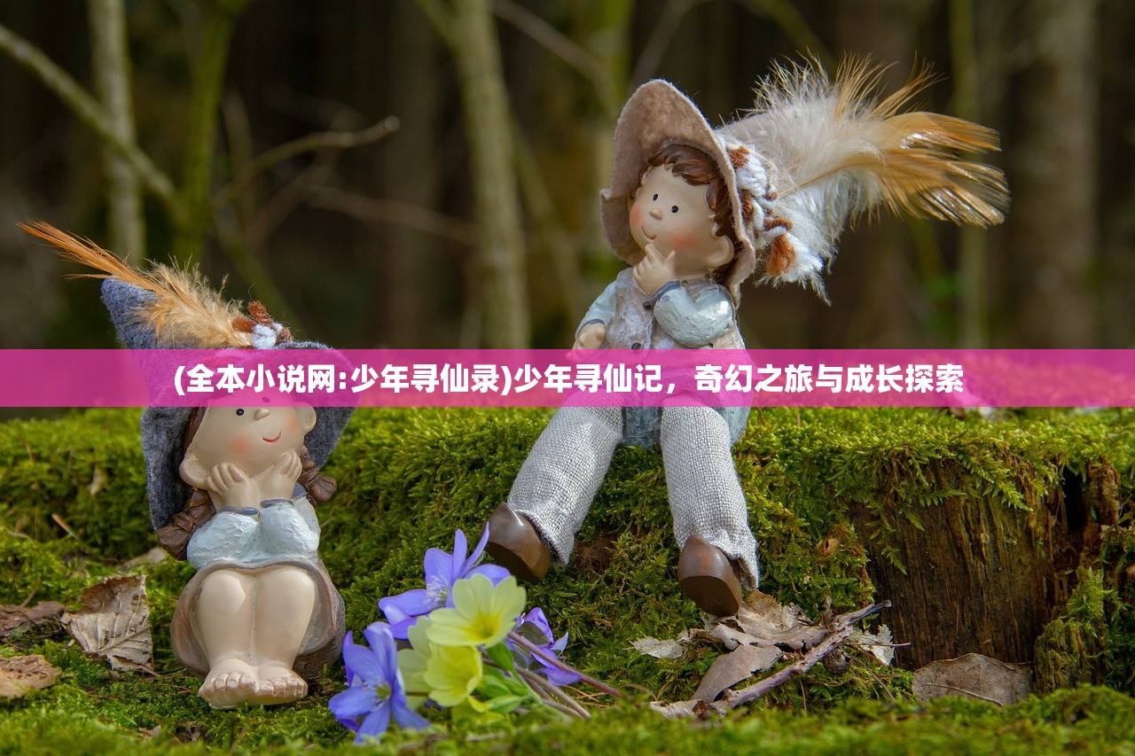 (全本小说网:少年寻仙录)少年寻仙记，奇幻之旅与成长探索