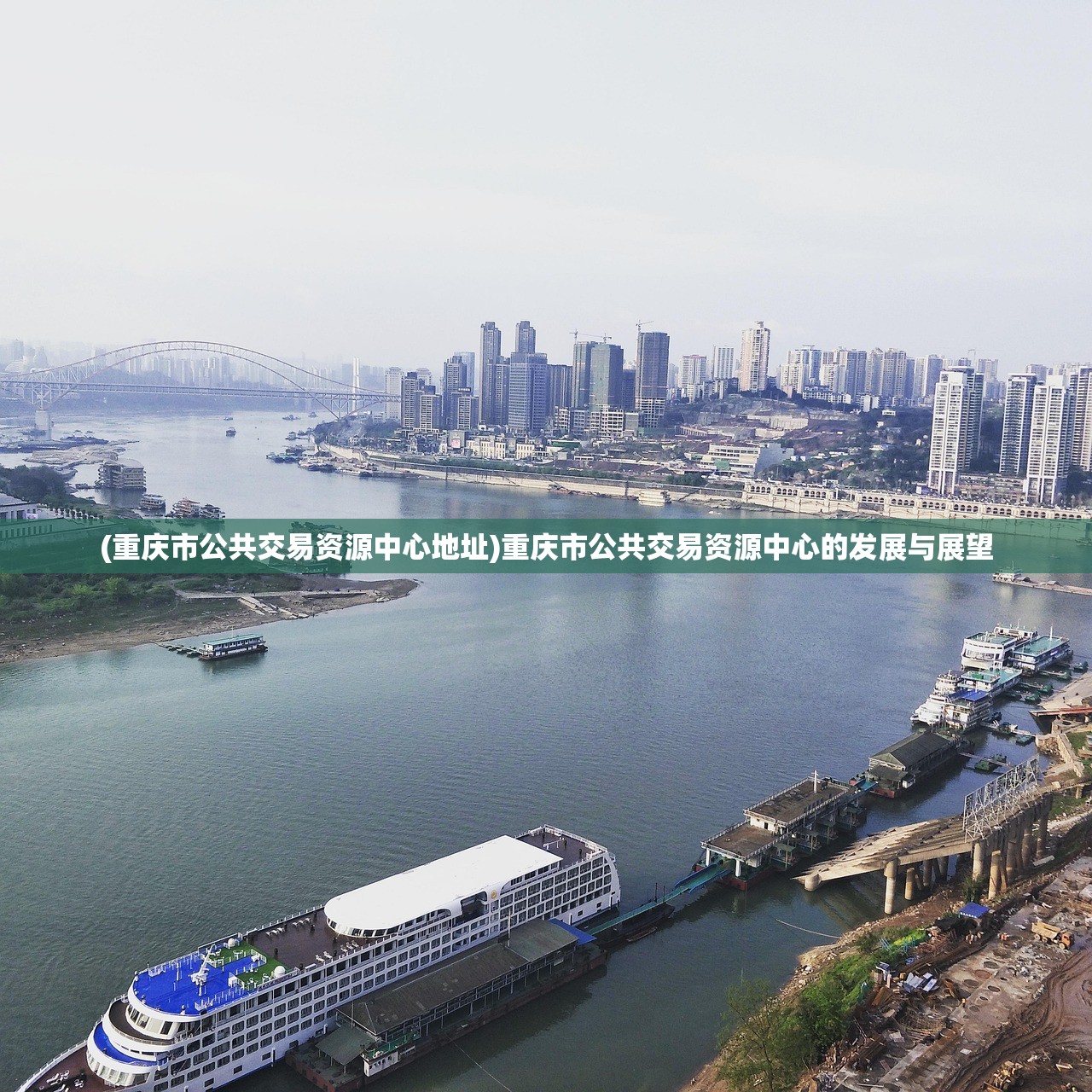 (重庆市公共交易资源中心地址)重庆市公共交易资源中心的发展与展望