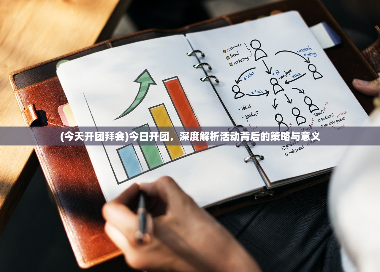 (今天开团拜会)今日开团，深度解析活动背后的策略与意义