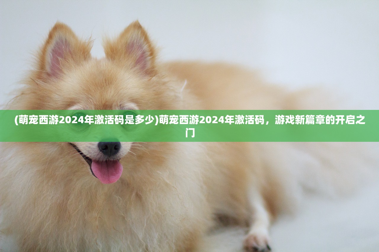 (圣灵之域攻略)九游圣灵之境，游戏深度探索与解析