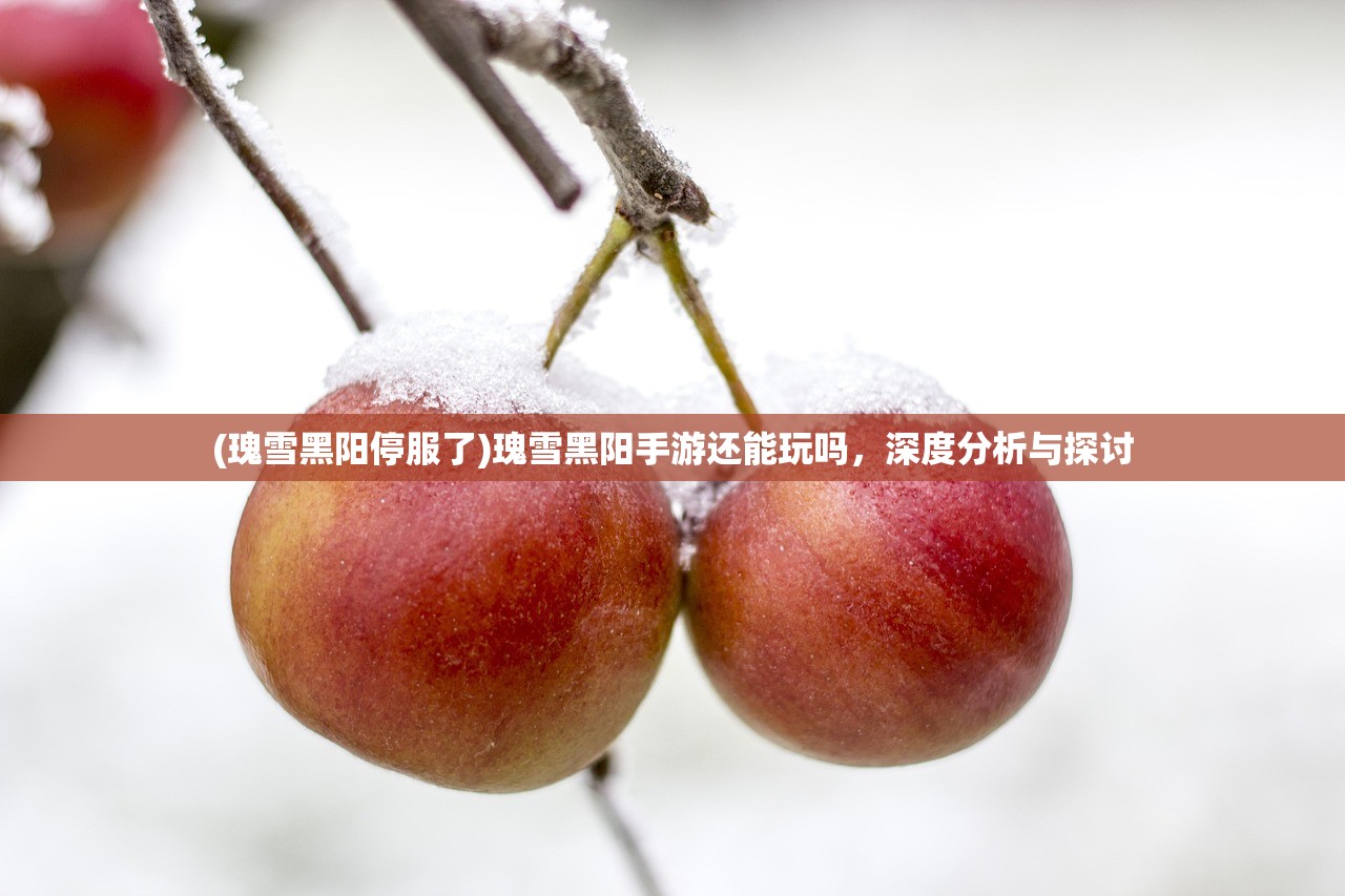 (瑰雪黑阳停服了)瑰雪黑阳手游还能玩吗，深度分析与探讨
