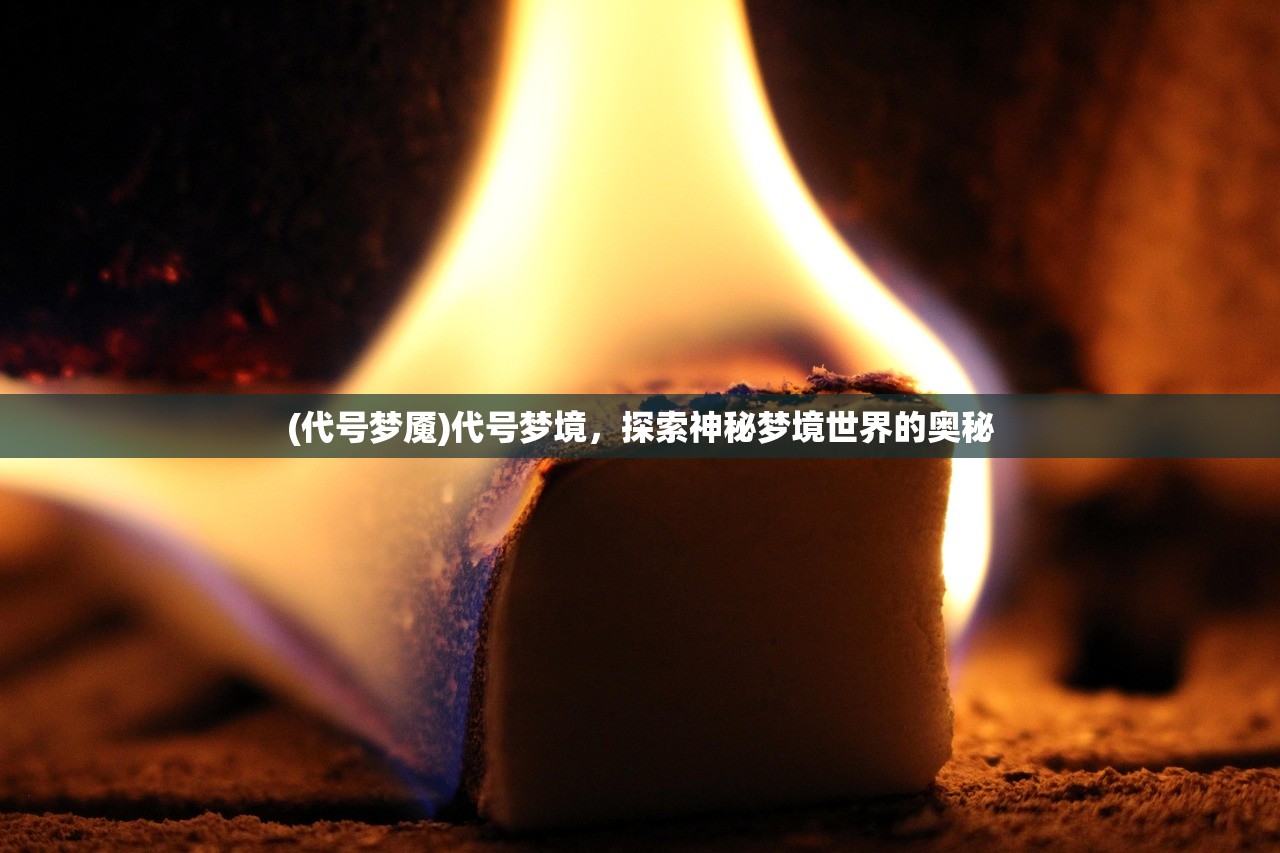 (代号梦魇)代号梦境，探索神秘梦境世界的奥秘