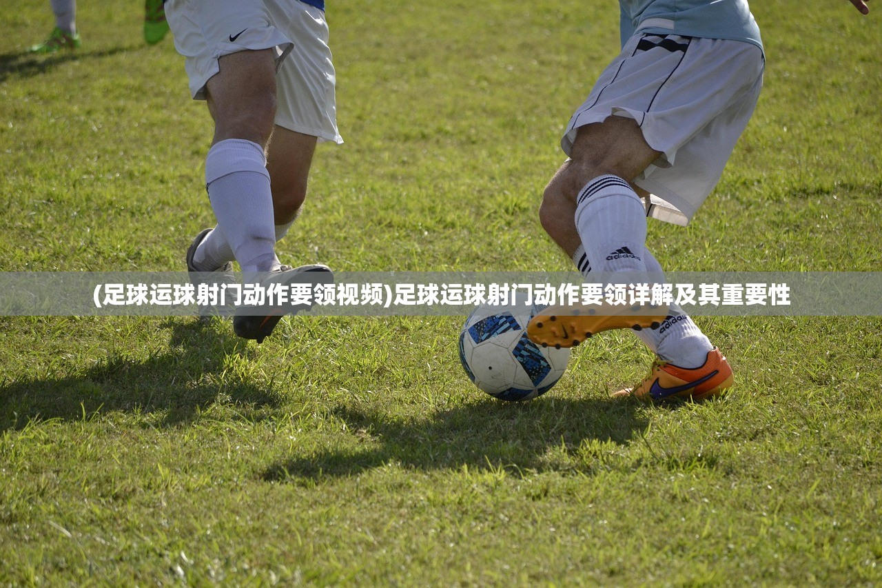 (王者争锋动画片免费观看)王者争锋动画片，荣耀之战的热血篇章