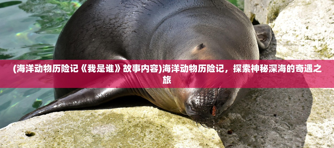 (海洋动物历险记《我是谁》故事内容)海洋动物历险记，探索神秘深海的奇遇之旅