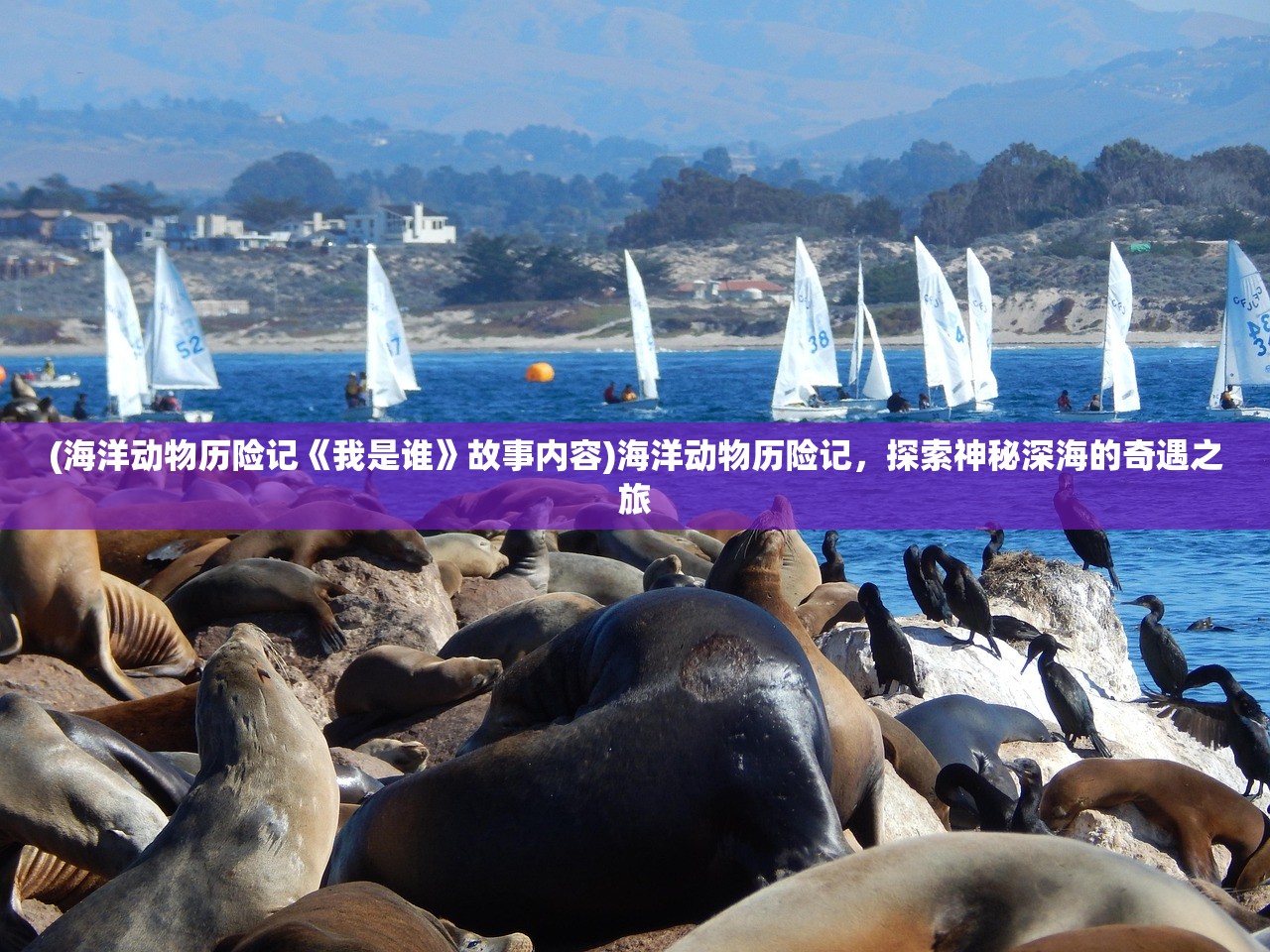 (暴走战姬无限代金券最新版本更新内容介绍)暴走战姬无限代金券，游戏经济的未来趋势与挑战