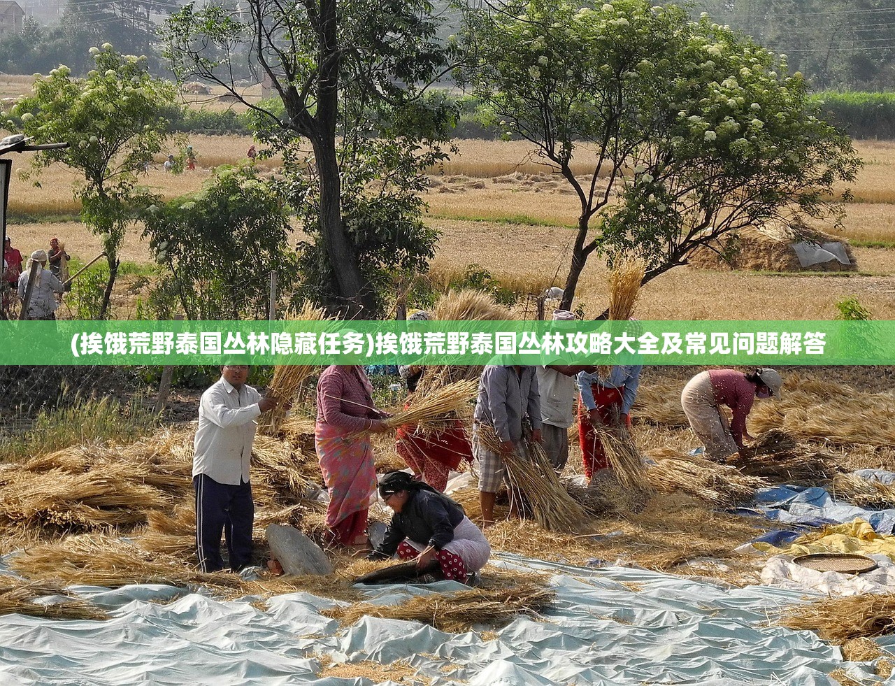 (挨饿荒野泰国丛林隐藏任务)挨饿荒野泰国丛林攻略大全及常见问题解答