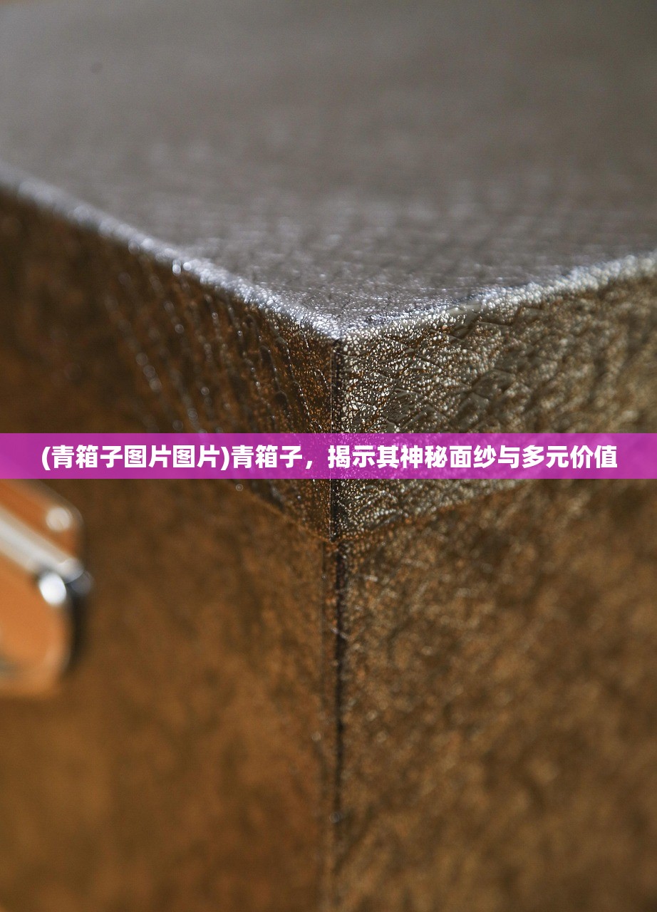 (青箱子图片图片)青箱子，揭示其神秘面纱与多元价值