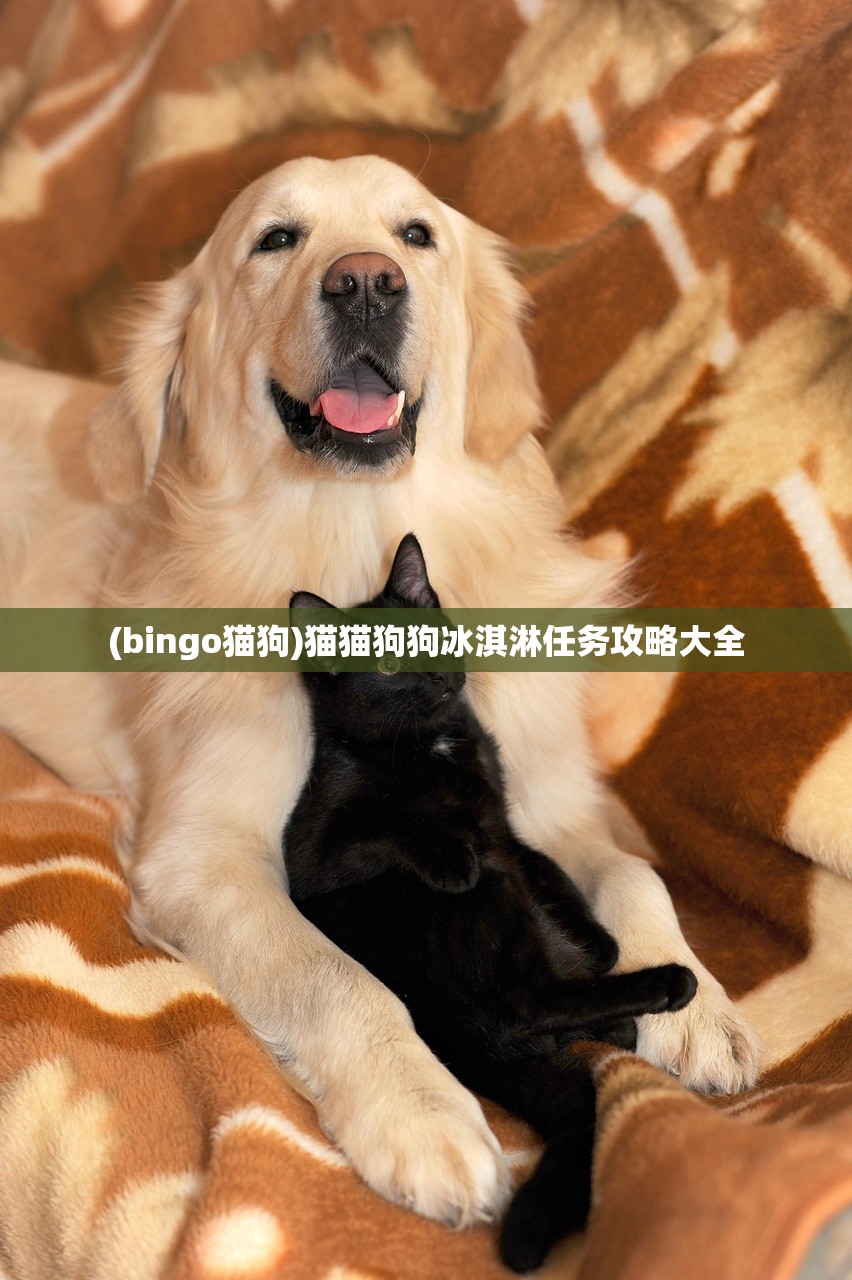 (bingo猫狗)猫猫狗狗冰淇淋任务攻略大全