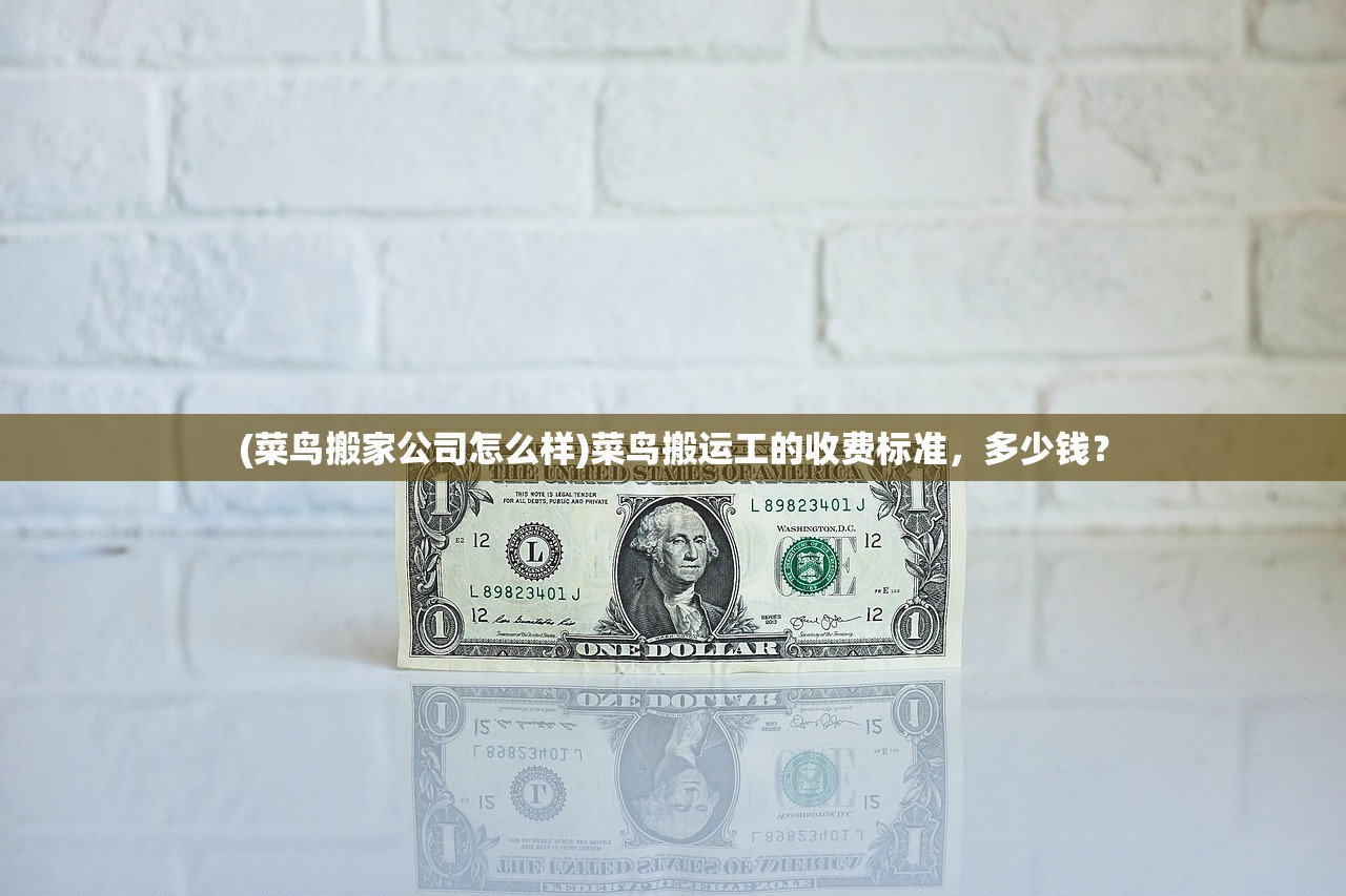 (菜鸟搬家公司怎么样)菜鸟搬运工的收费标准，多少钱？