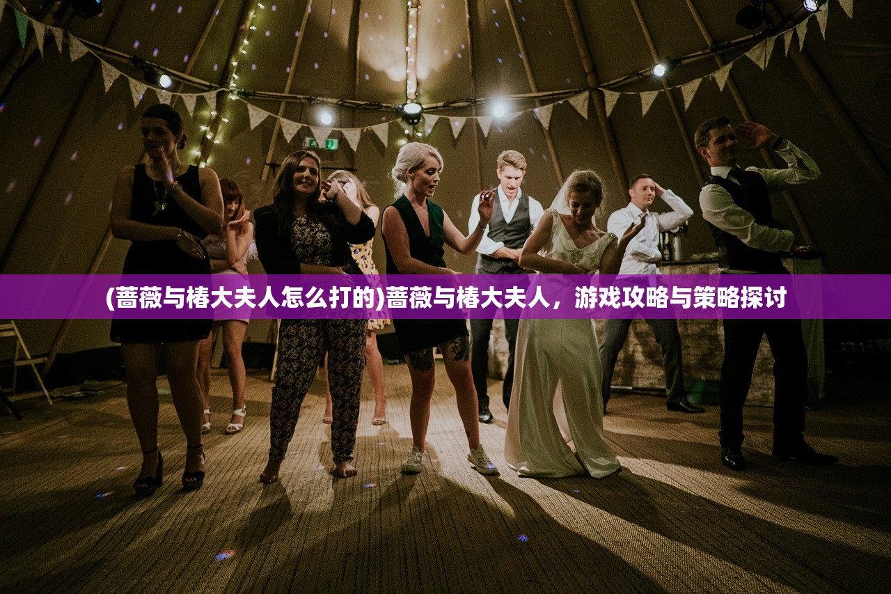 (蔷薇与椿大夫人怎么打的)蔷薇与椿大夫人，游戏攻略与策略探讨