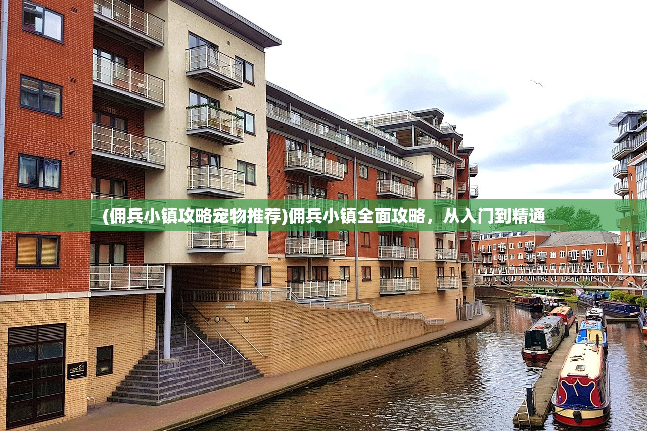(佣兵小镇攻略宠物推荐)佣兵小镇全面攻略，从入门到精通