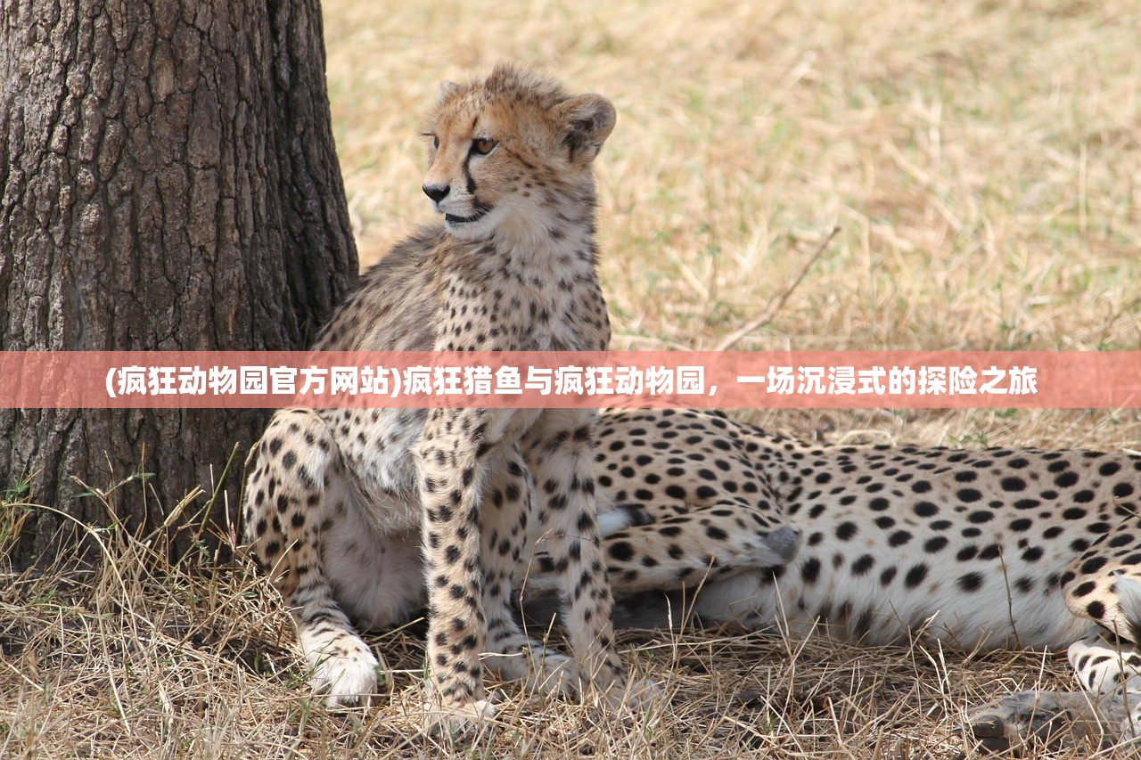 (疯狂动物园官方网站)疯狂猎鱼与疯狂动物园，一场沉浸式的探险之旅
