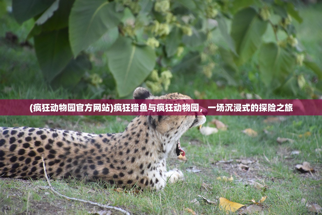 (疯狂动物园官方网站)疯狂猎鱼与疯狂动物园，一场沉浸式的探险之旅