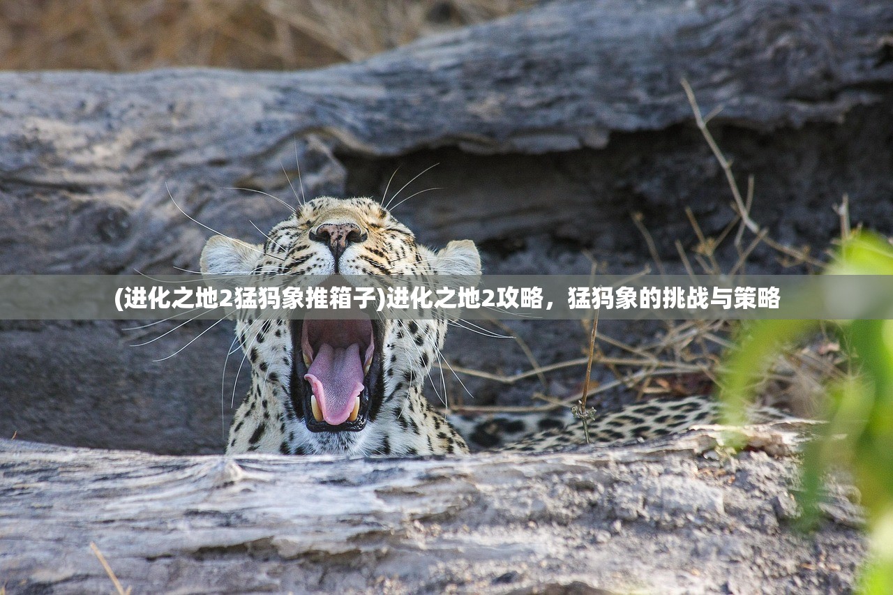 (进化之地2猛犸象推箱子)进化之地2攻略，猛犸象的挑战与策略