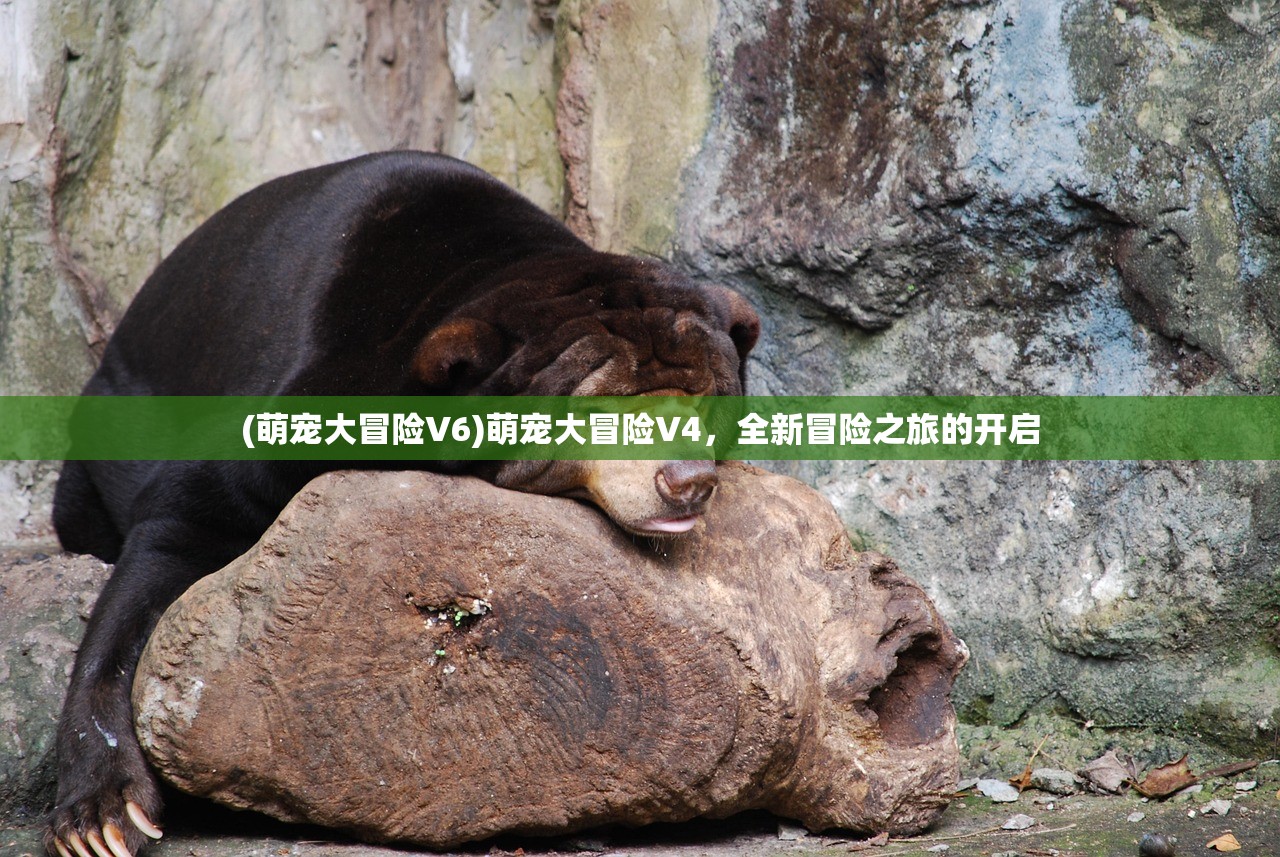 (萌宠大冒险V6)萌宠大冒险V4，全新冒险之旅的开启