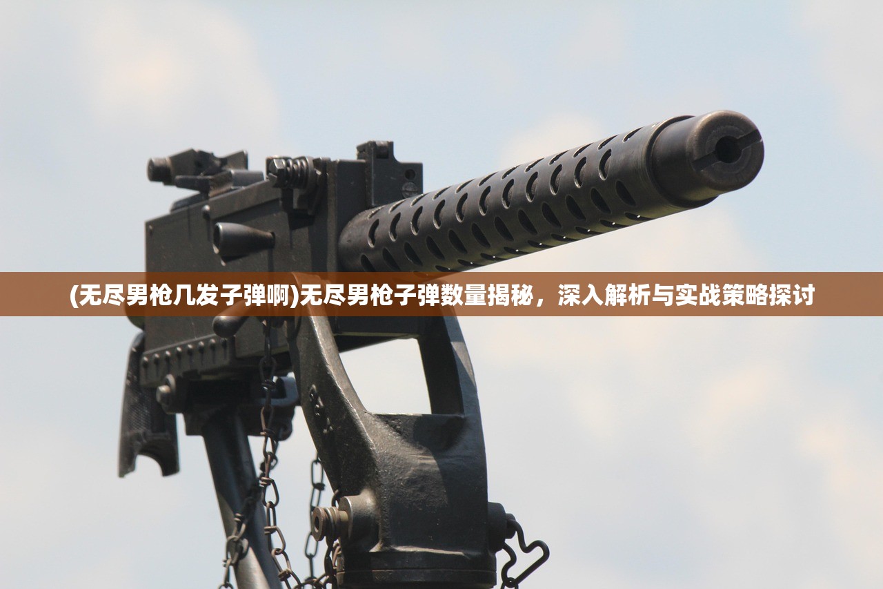 (无尽男枪几发子弹啊)无尽男枪子弹数量揭秘，深入解析与实战策略探讨