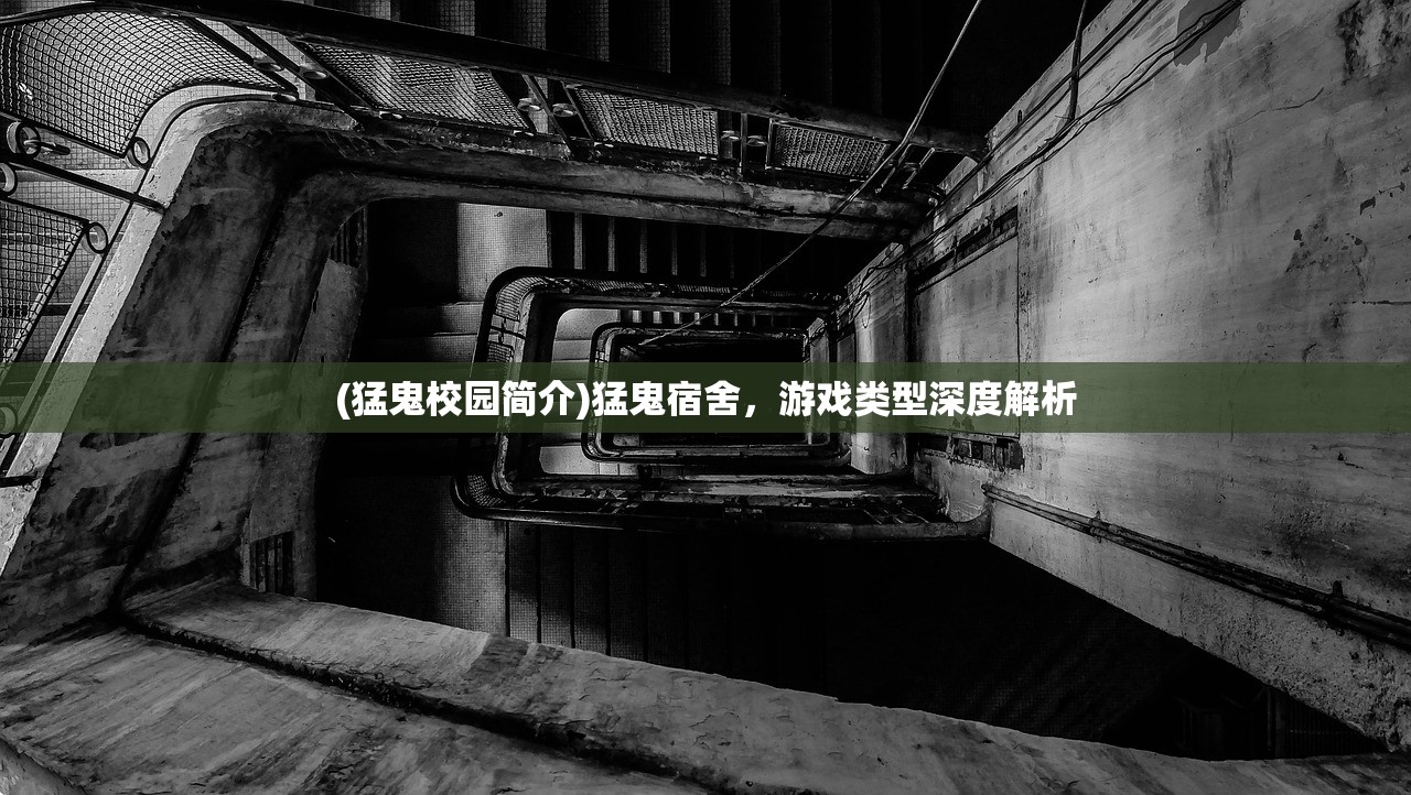 (猛鬼校园简介)猛鬼宿舍，游戏类型深度解析