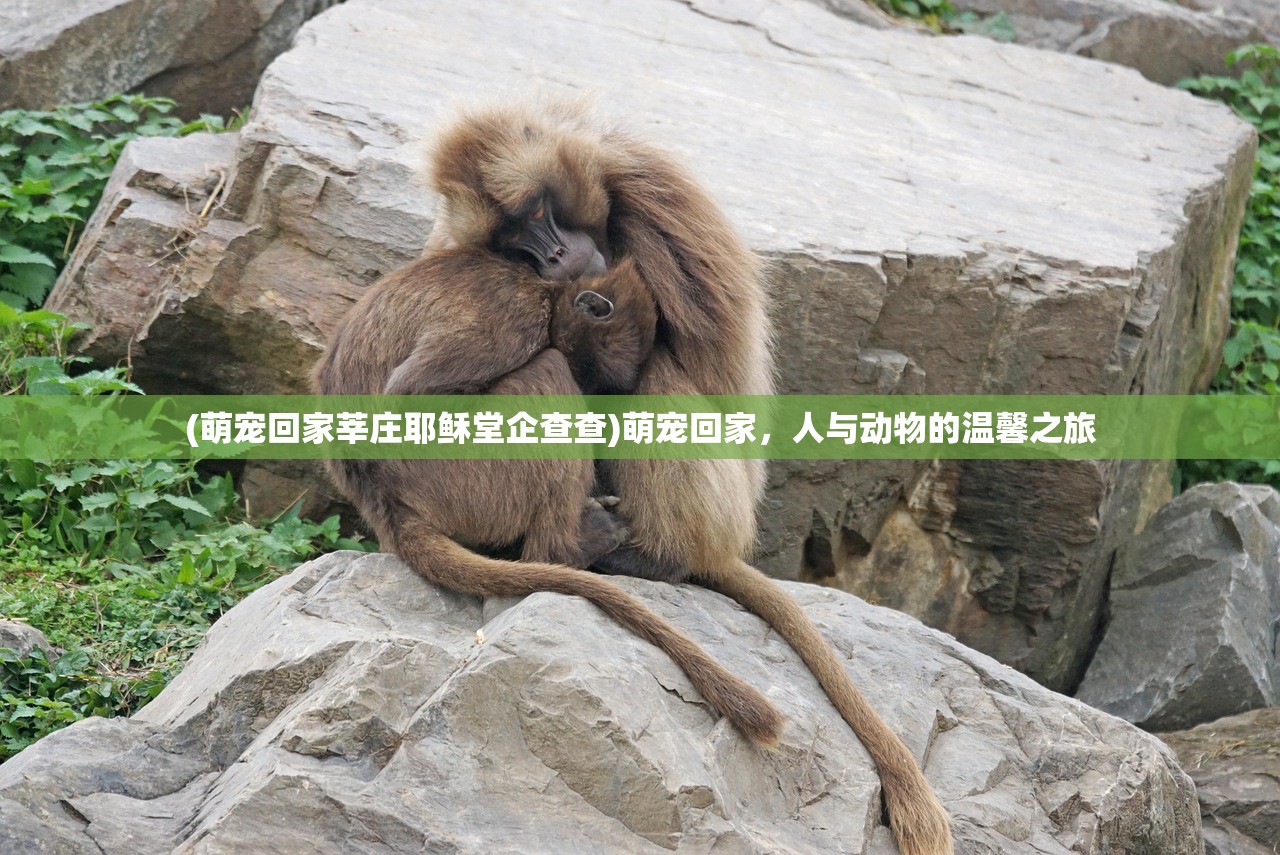(伏魔情缘官网)伏魔情缘真的能领红包吗，深度解析与常见问题解答