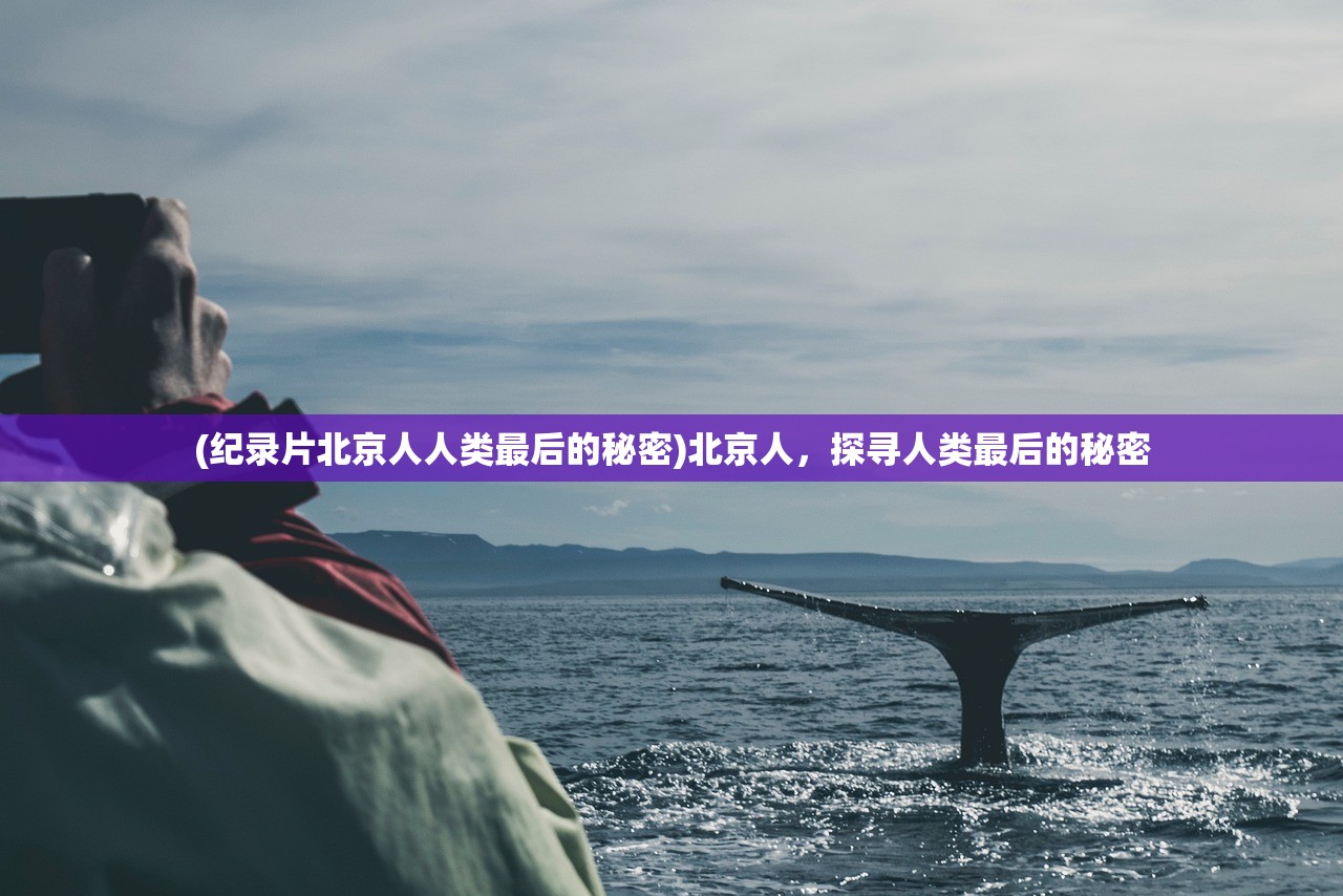 (造梦西游4修改器刷点卷)造梦西游4修改器增加点券使用指南