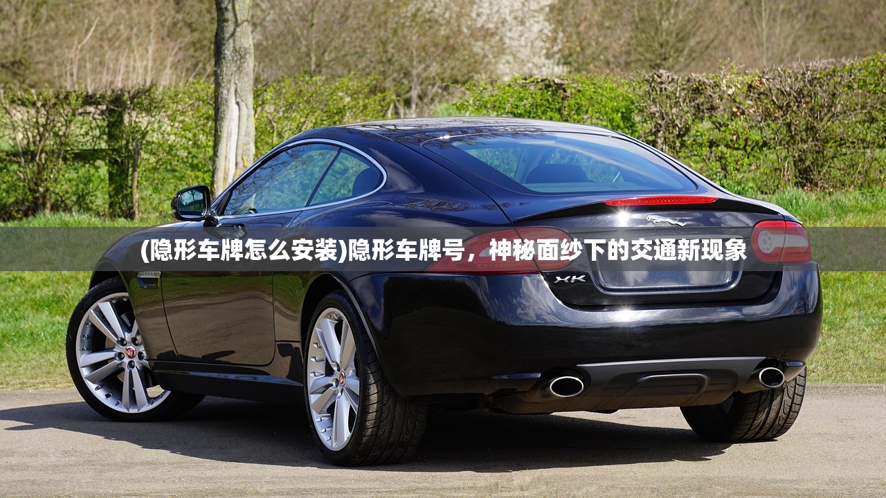 (隐形车牌怎么安装)隐形车牌号，神秘面纱下的交通新现象