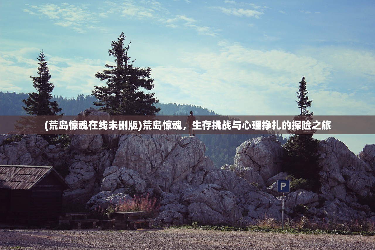 (荒岛惊魂在线未删版)荒岛惊魂，生存挑战与心理挣扎的探险之旅