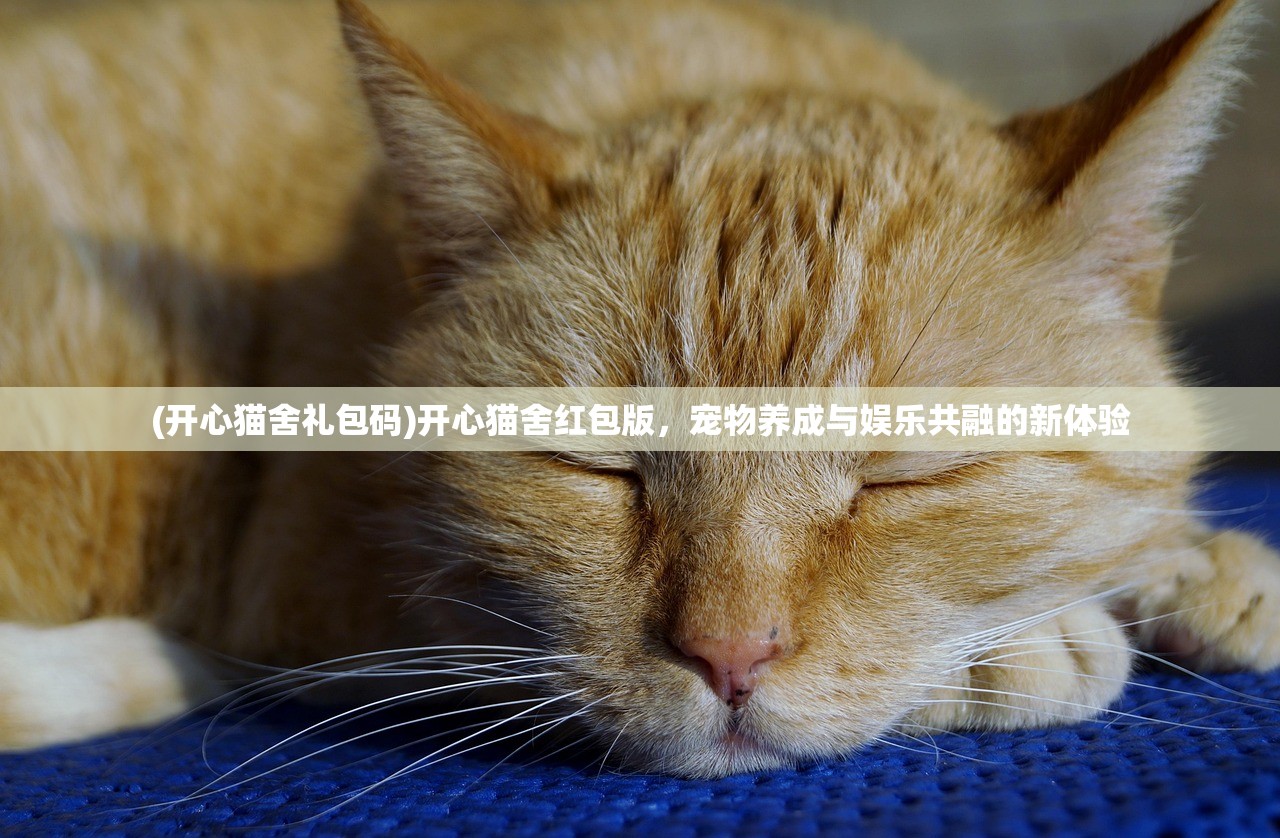 (开心猫舍礼包码)开心猫舍红包版，宠物养成与娱乐共融的新体验