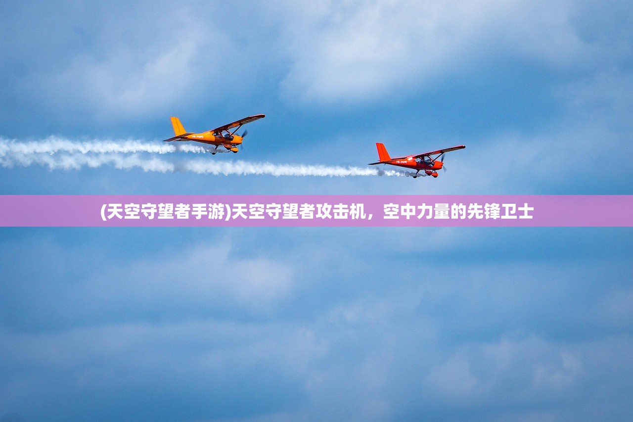 (天空守望者手游)天空守望者攻击机，空中力量的先锋卫士