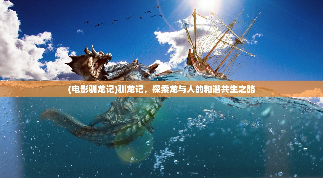 (电影驯龙记)驯龙记，探索龙与人的和谐共生之路