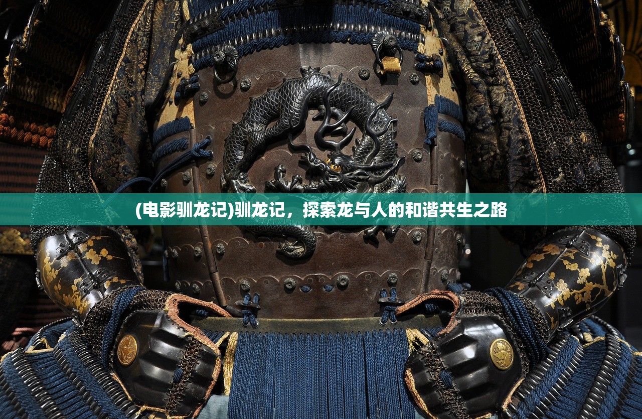 (电影驯龙记)驯龙记，探索龙与人的和谐共生之路
