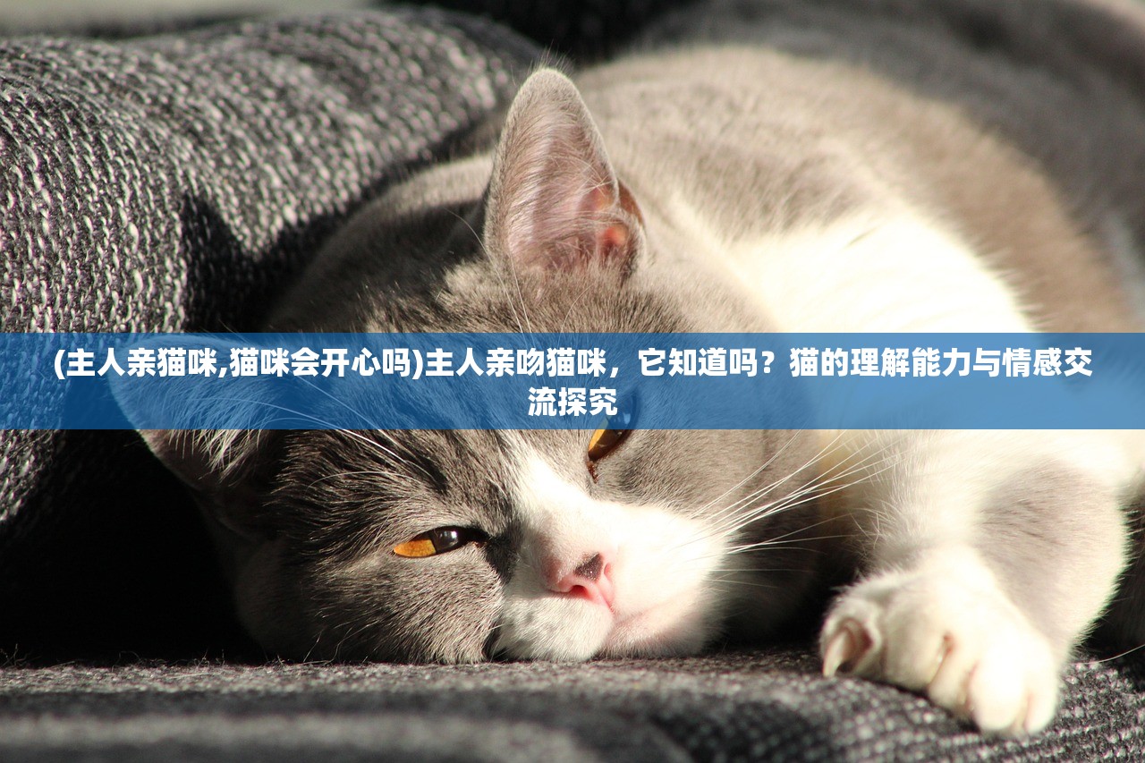 (主人亲猫咪,猫咪会开心吗)主人亲吻猫咪，它知道吗？猫的理解能力与情感交流探究