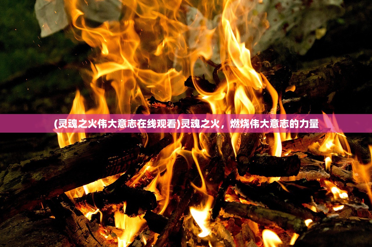 (灵魂之火伟大意志在线观看)灵魂之火，燃烧伟大意志的力量
