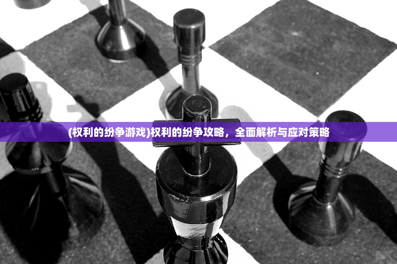 (权利的纷争游戏)权利的纷争攻略，全面解析与应对策略