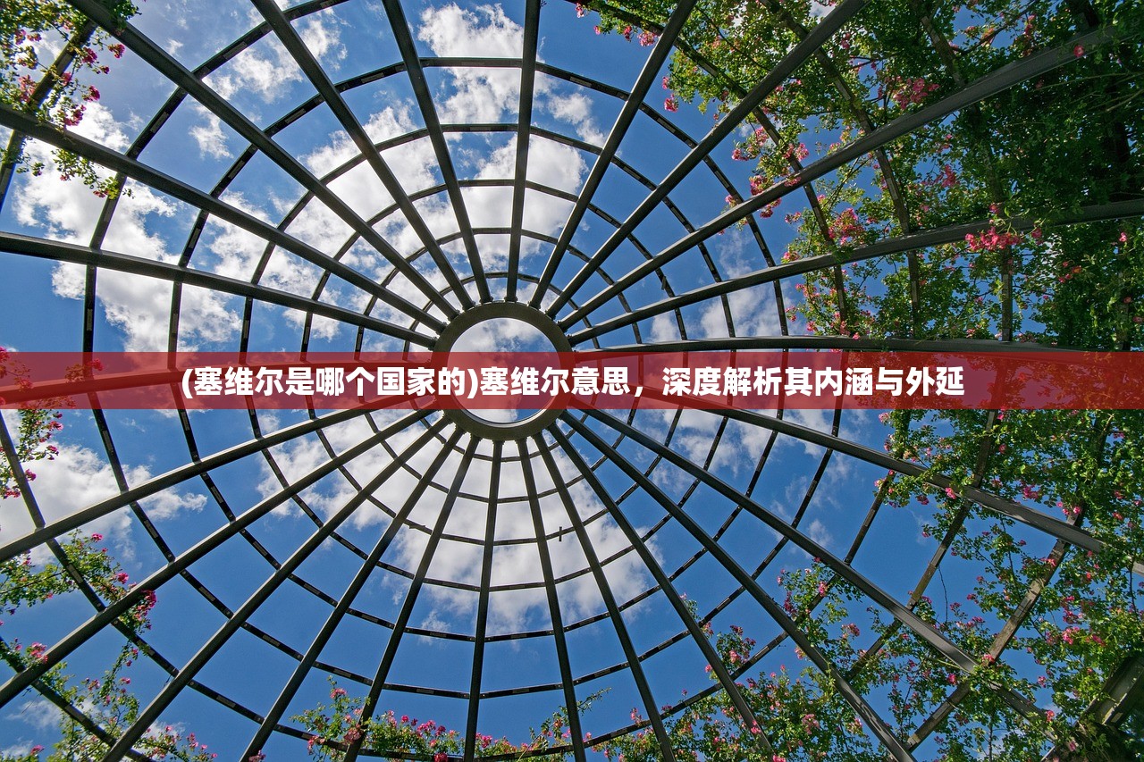 (塞维尔是哪个国家的)塞维尔意思，深度解析其内涵与外延