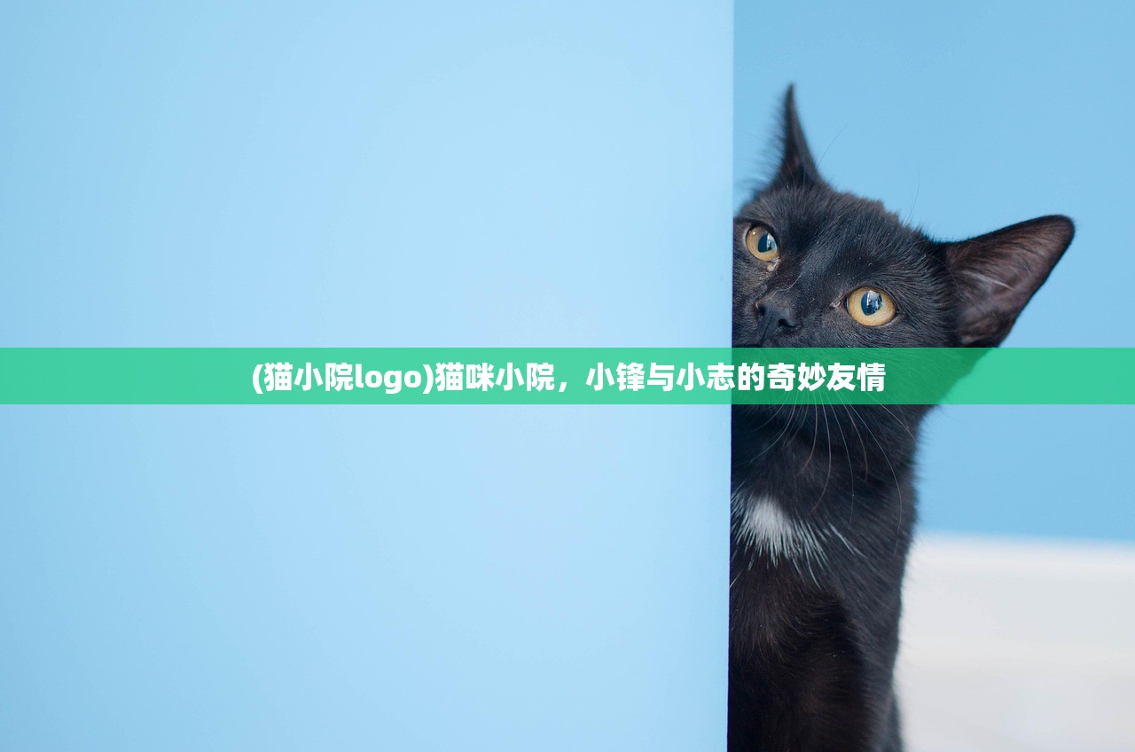 (猫小院logo)猫咪小院，小锋与小志的奇妙友情