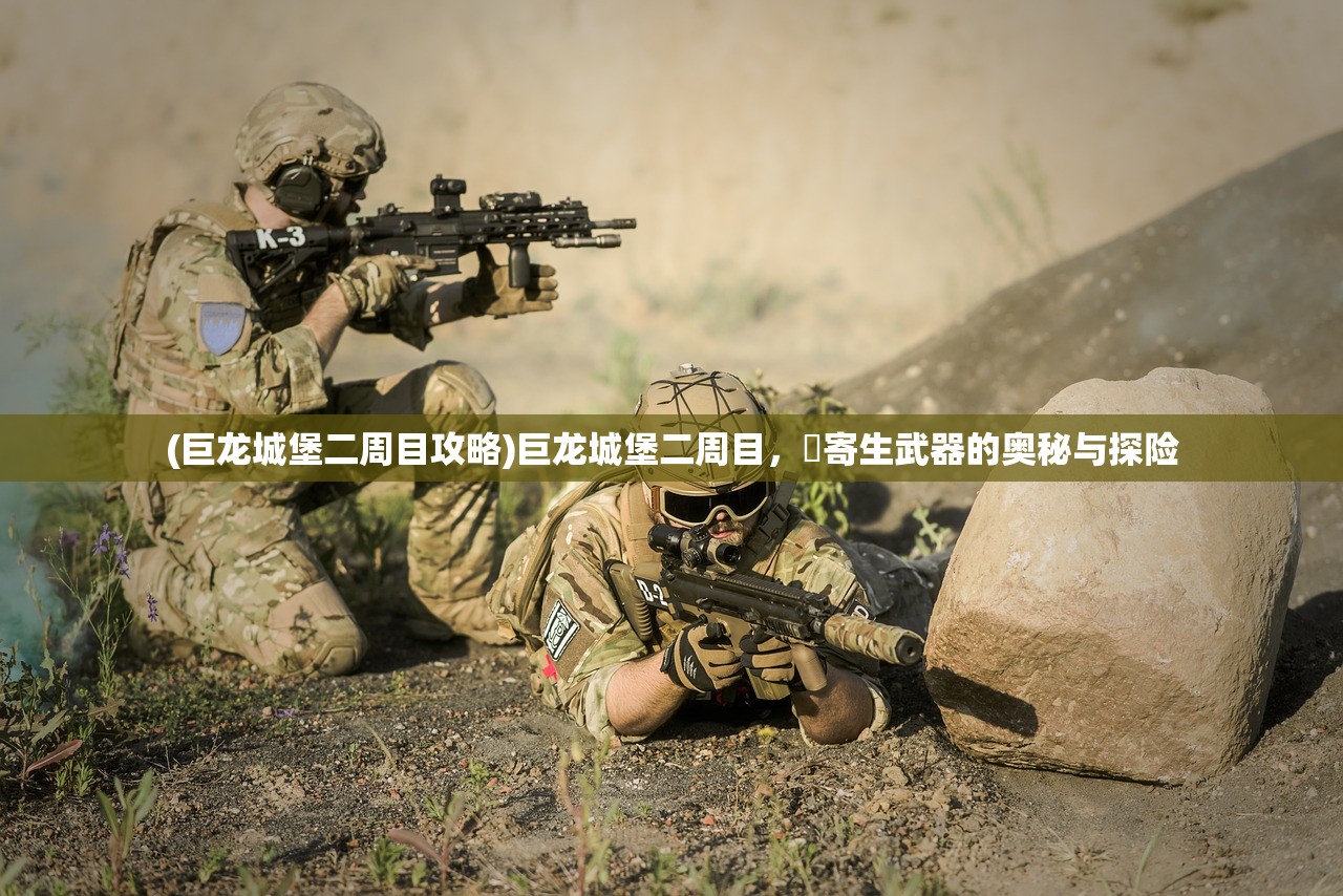 (巨龙城堡二周目攻略)巨龙城堡二周目，櫆寄生武器的奥秘与探险