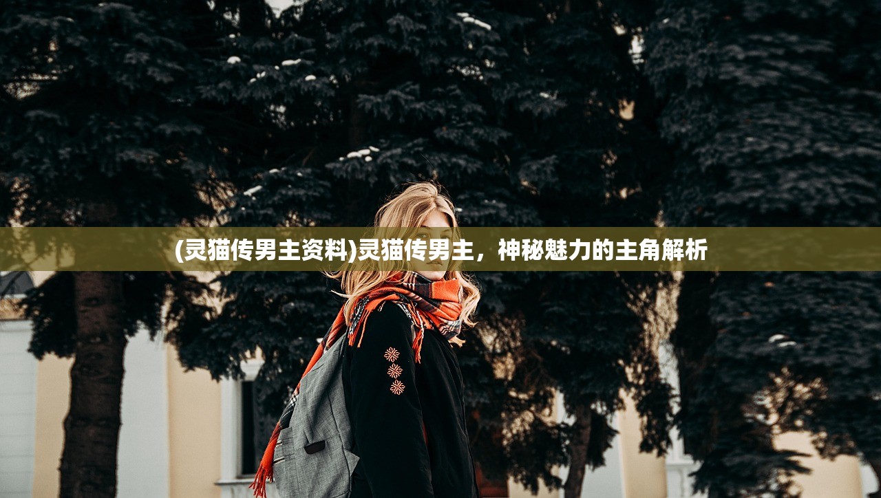 (灵猫传男主资料)灵猫传男主，神秘魅力的主角解析