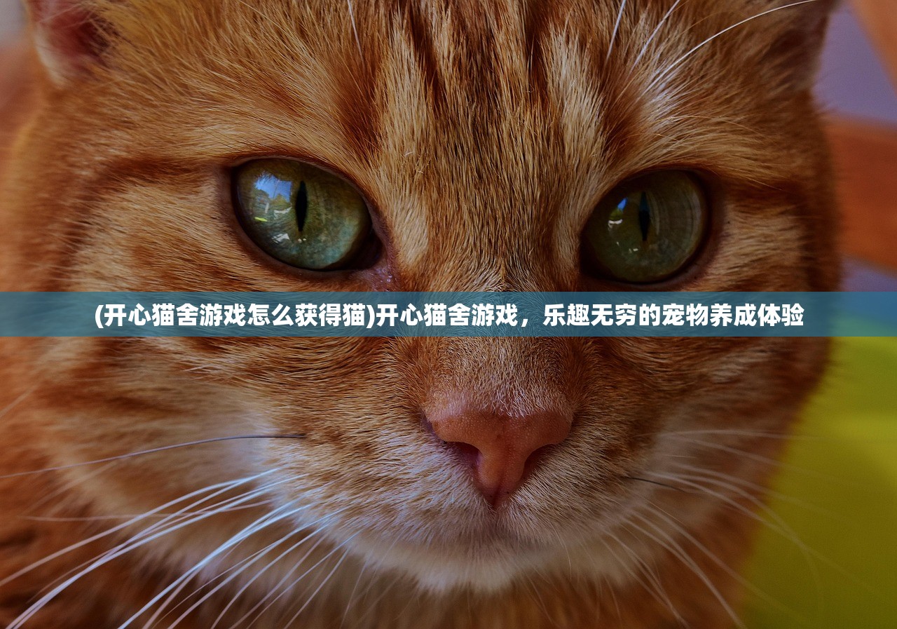 (三国策略游戏排行榜)三国策略游戏排行榜2024，热门与经典的游戏一览