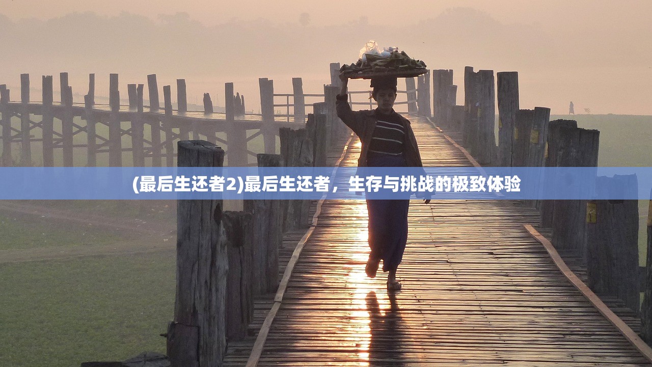 (最后生还者2)最后生还者，生存与挑战的极致体验