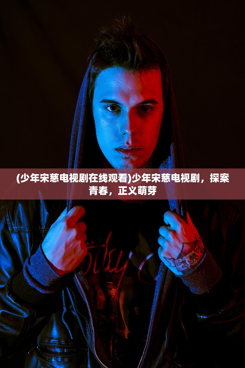 (少年宋慈电视剧在线观看)少年宋慈电视剧，探案青春，正义萌芽