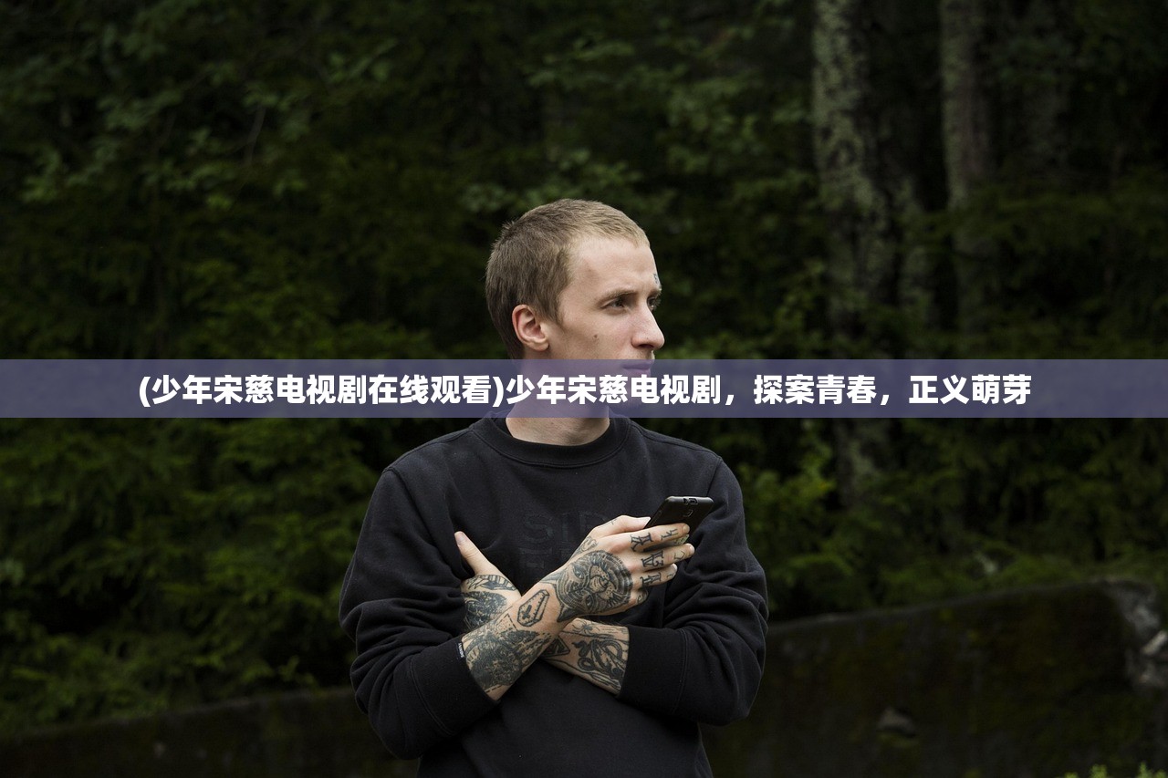 (少年宋慈电视剧在线观看)少年宋慈电视剧，探案青春，正义萌芽