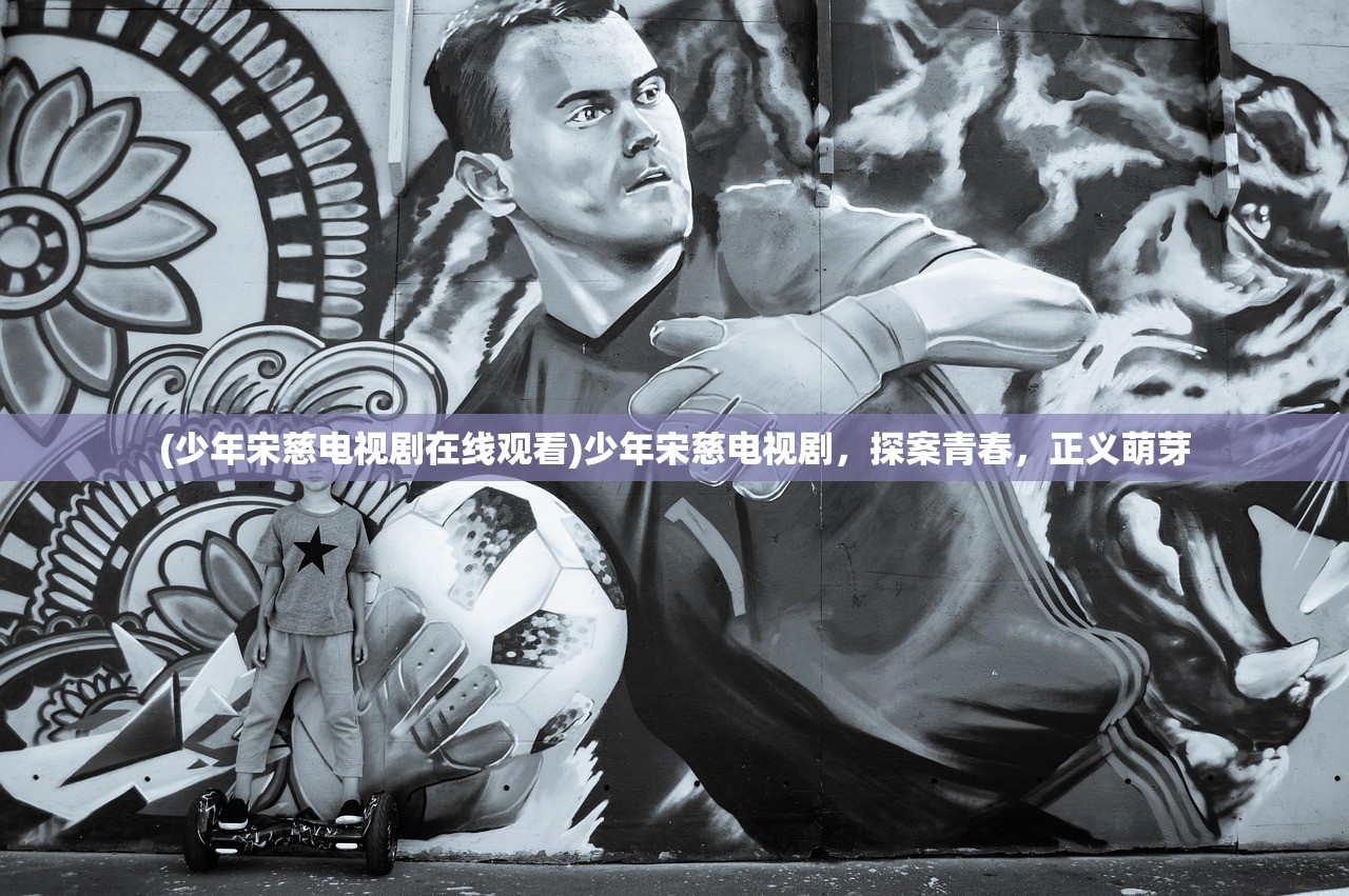 (少年宋慈电视剧在线观看)少年宋慈电视剧，探案青春，正义萌芽
