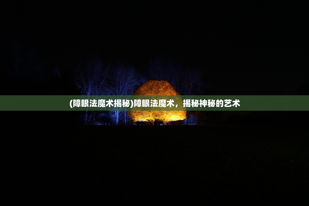 (障眼法魔术揭秘)障眼法魔术，揭秘神秘的艺术