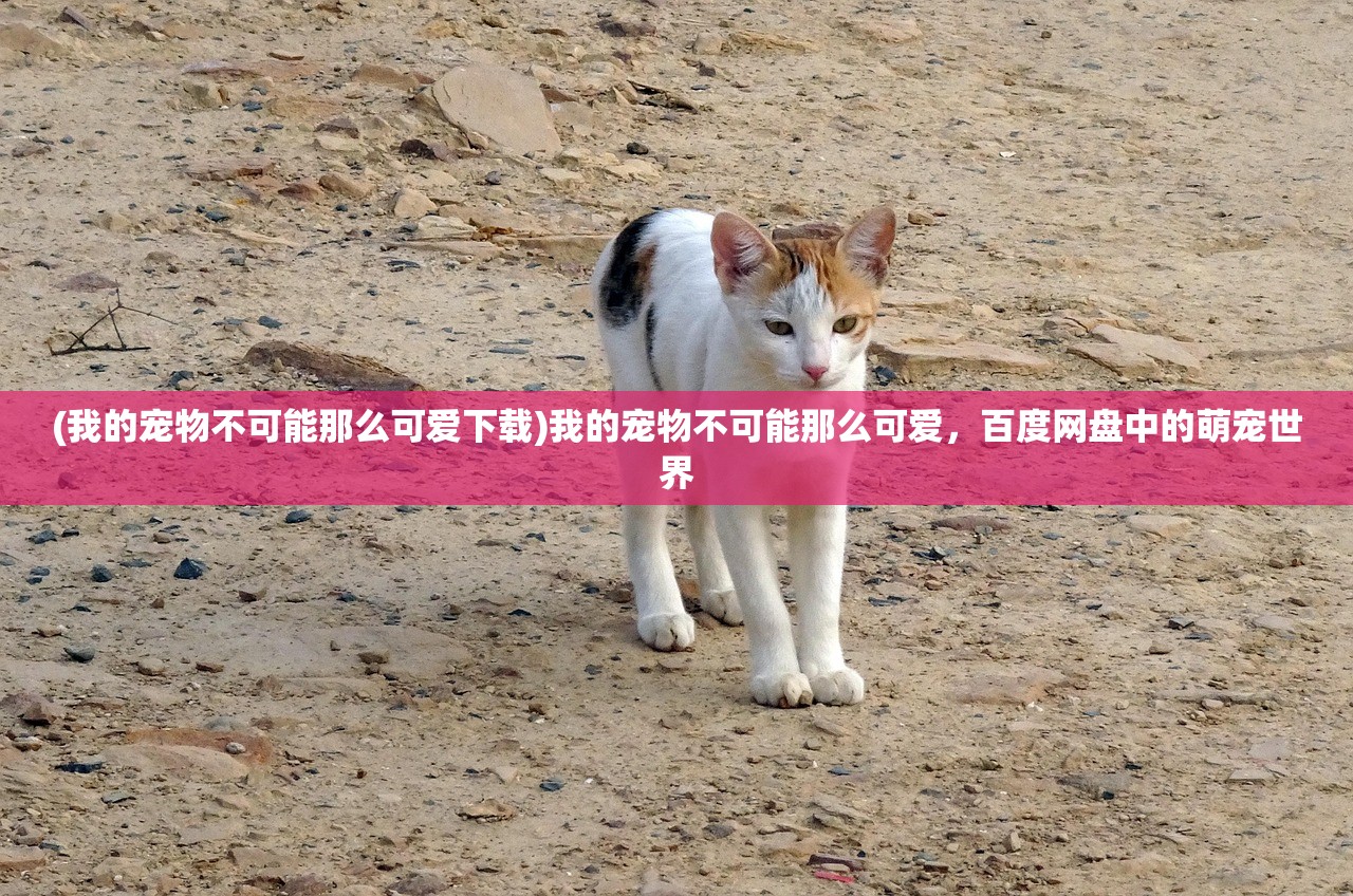 (使命召唤6安装教程)使命召唤6游戏安装全攻略，从入门到精通