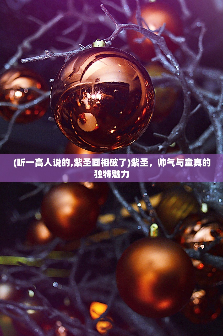 (听一高人说的,紫圣面相破了)紫圣，帅气与童真的独特魅力