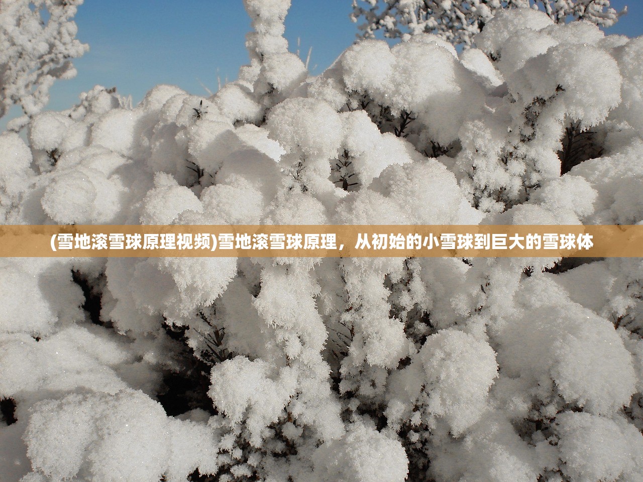 (雪地滚雪球原理视频)雪地滚雪球原理，从初始的小雪球到巨大的雪球体